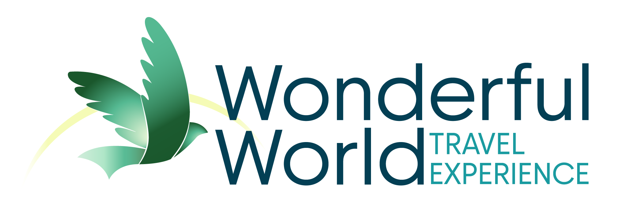 Wonderful World Travel Experience