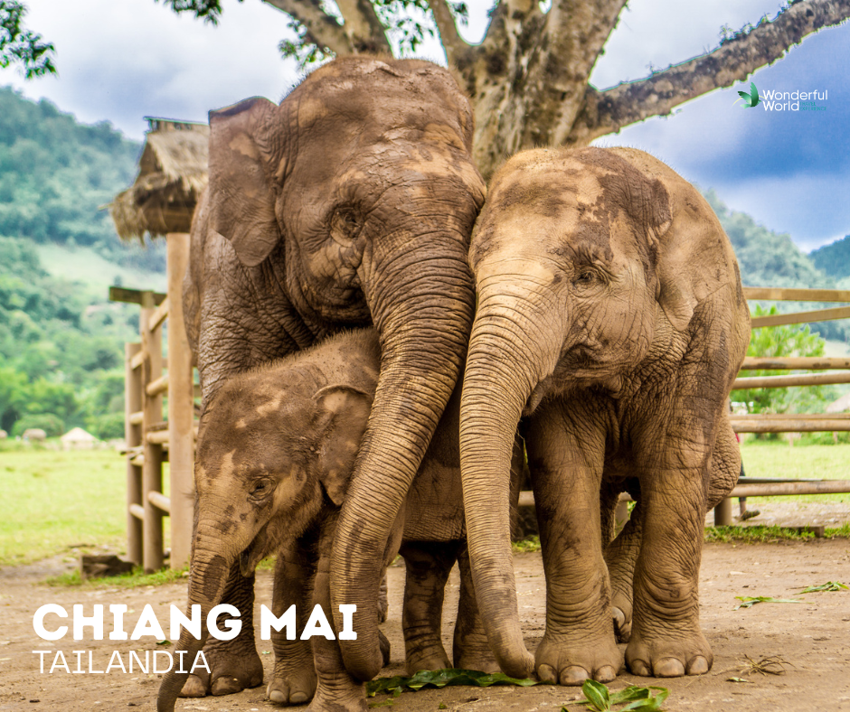 2027 - Tailandia, Phuket y Phi Phi