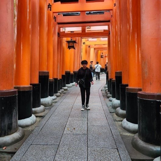 2027 - Maravillas de Japon 