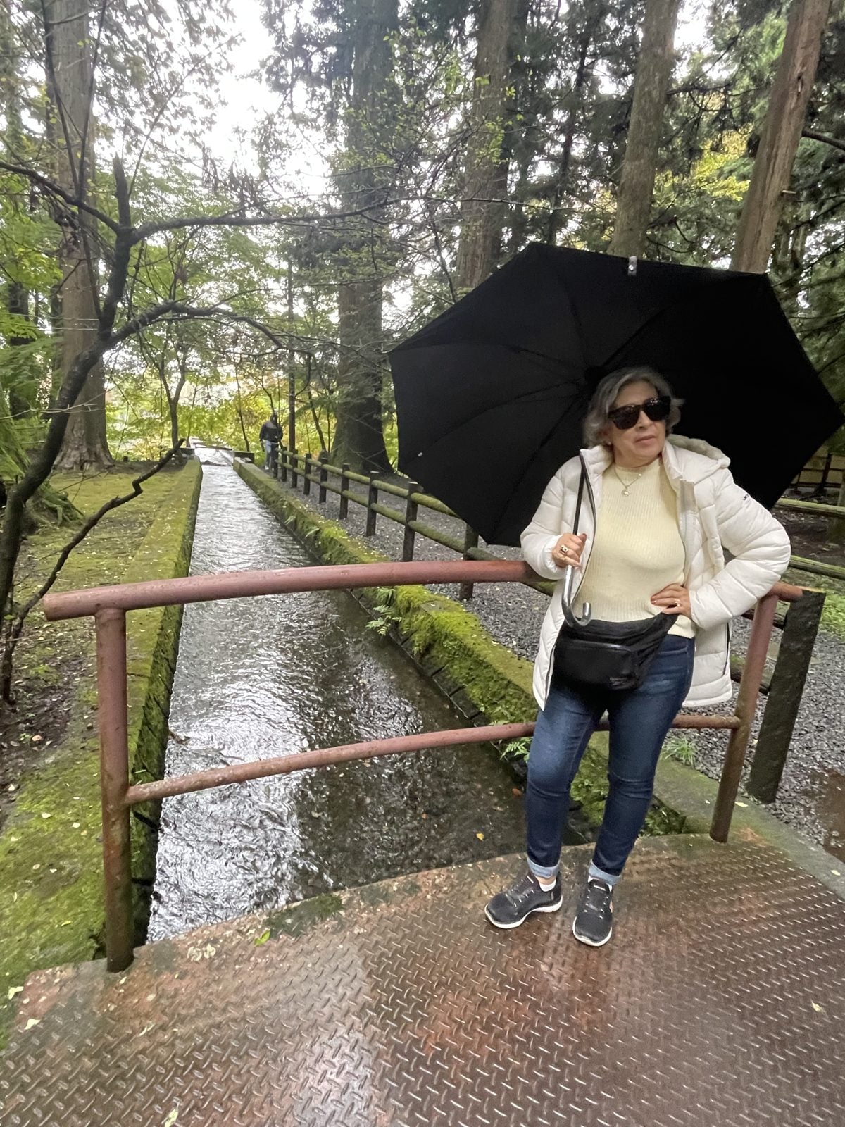 2027 - Maravillas de Japon 