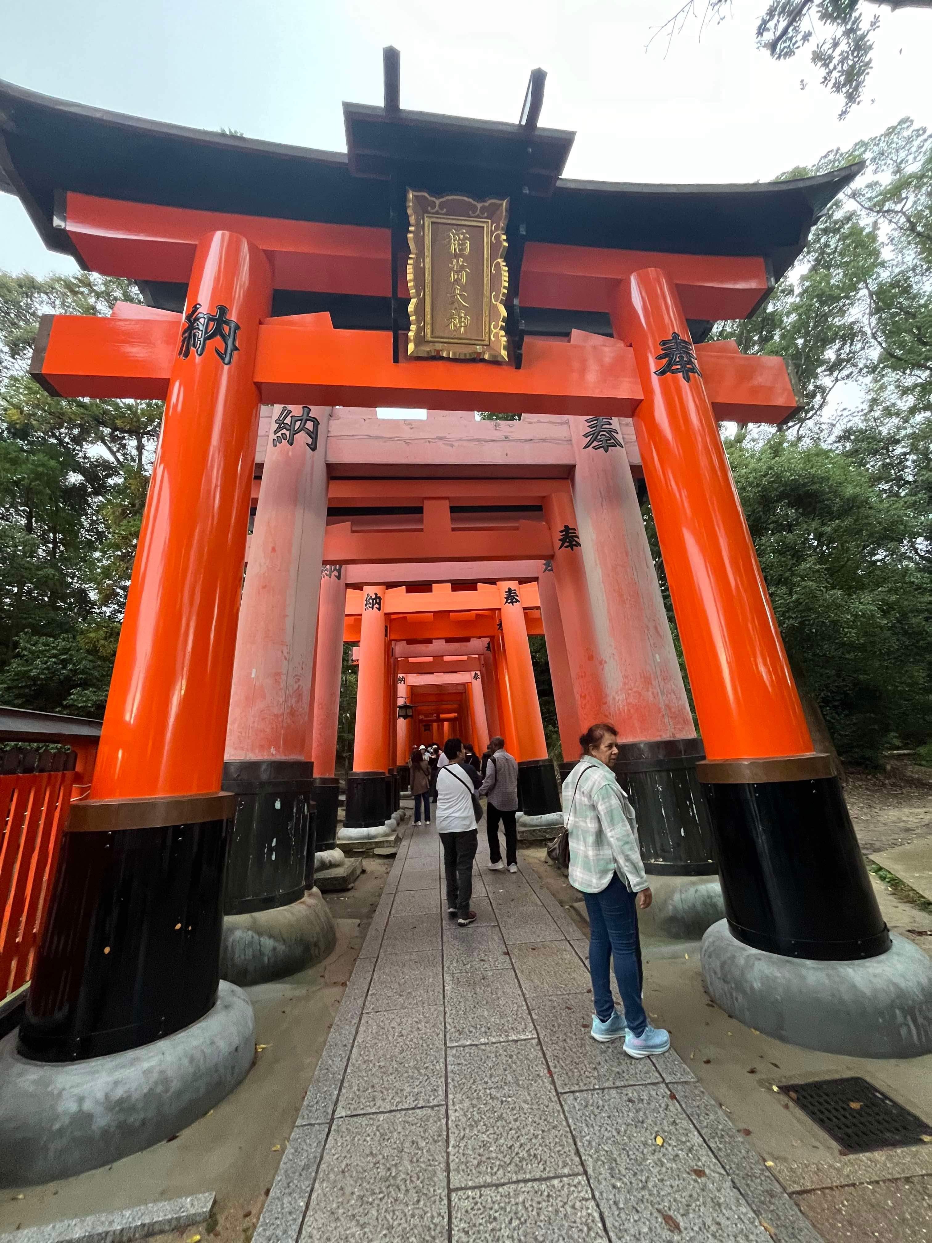 Maravillas de Japon 2026